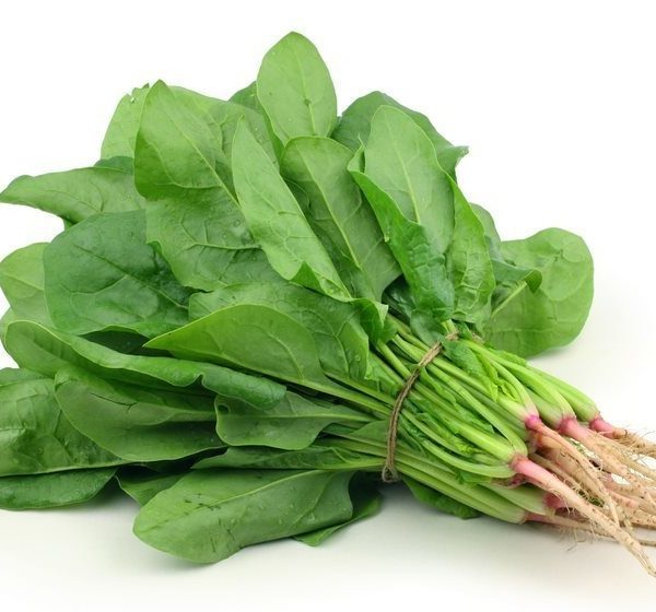 Palak (پالک) 1 bundel