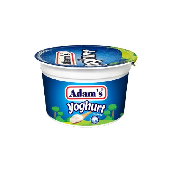 Adams Yogurt (ایڈمز دہی)-200 GM